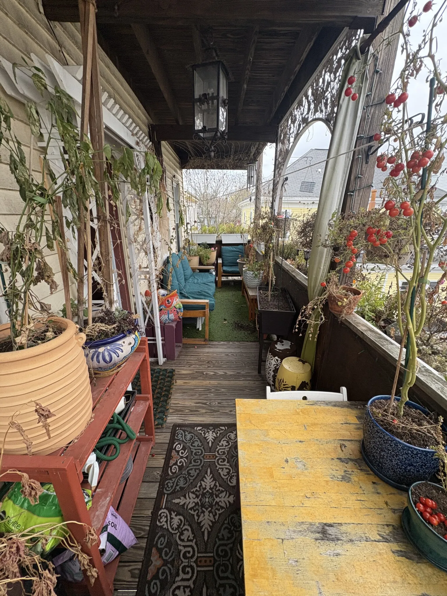 66 Callender St, Riverside