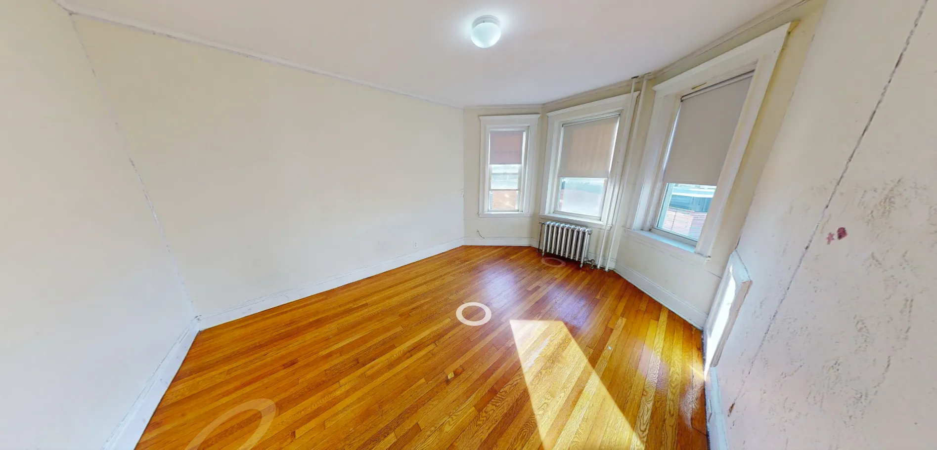 1163 Boylston St, Fenway