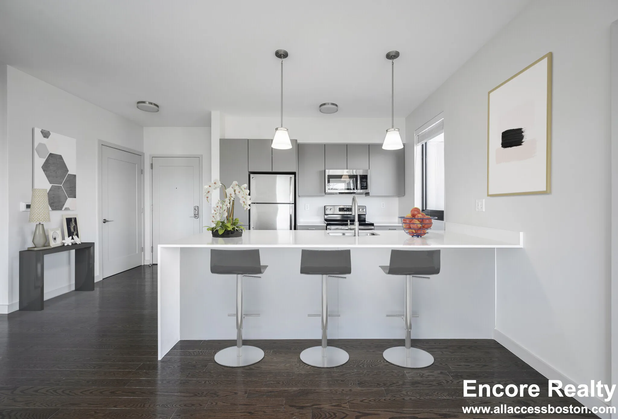 455 Harvard St, North Brookline
