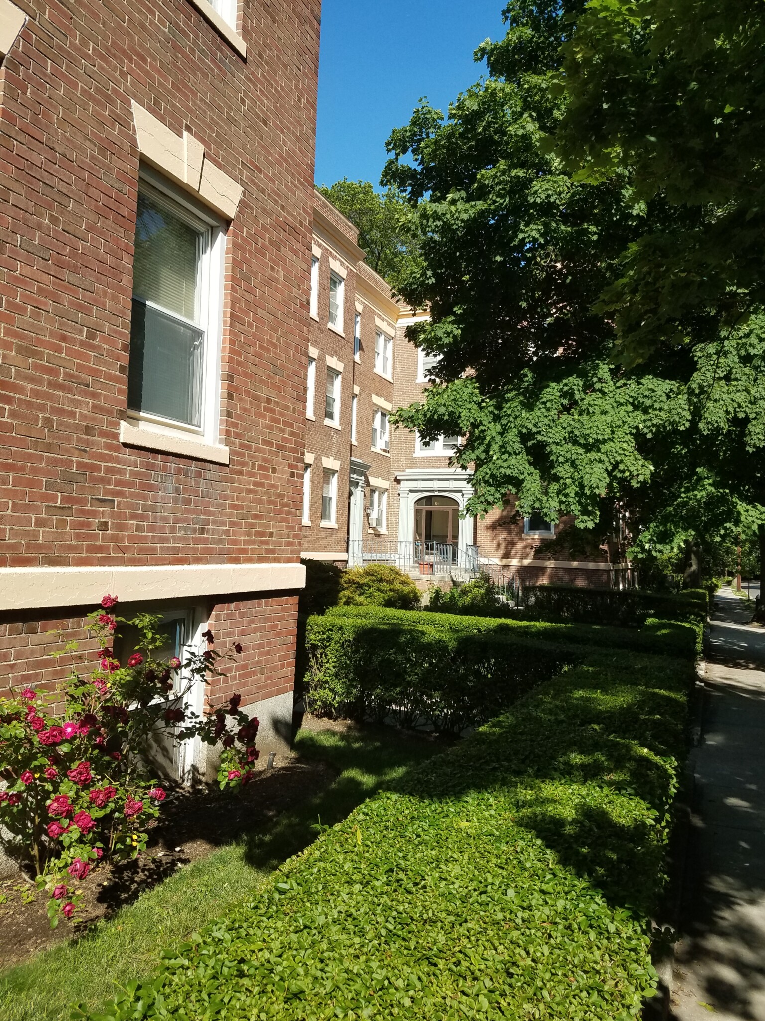 53 Manchester Rd, North Brookline