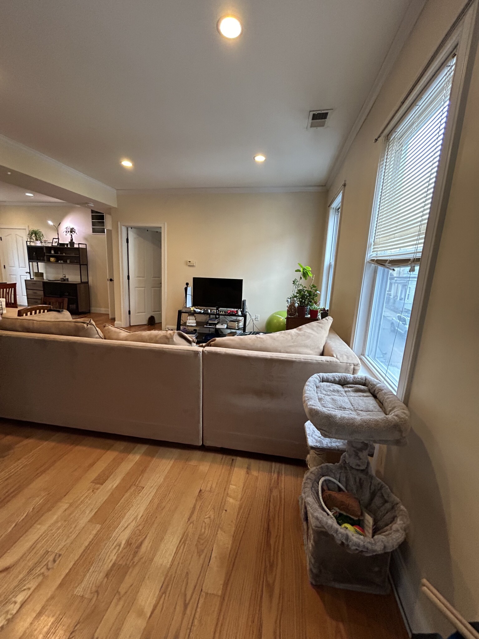 20 Armstrong St, Jamaica Plain