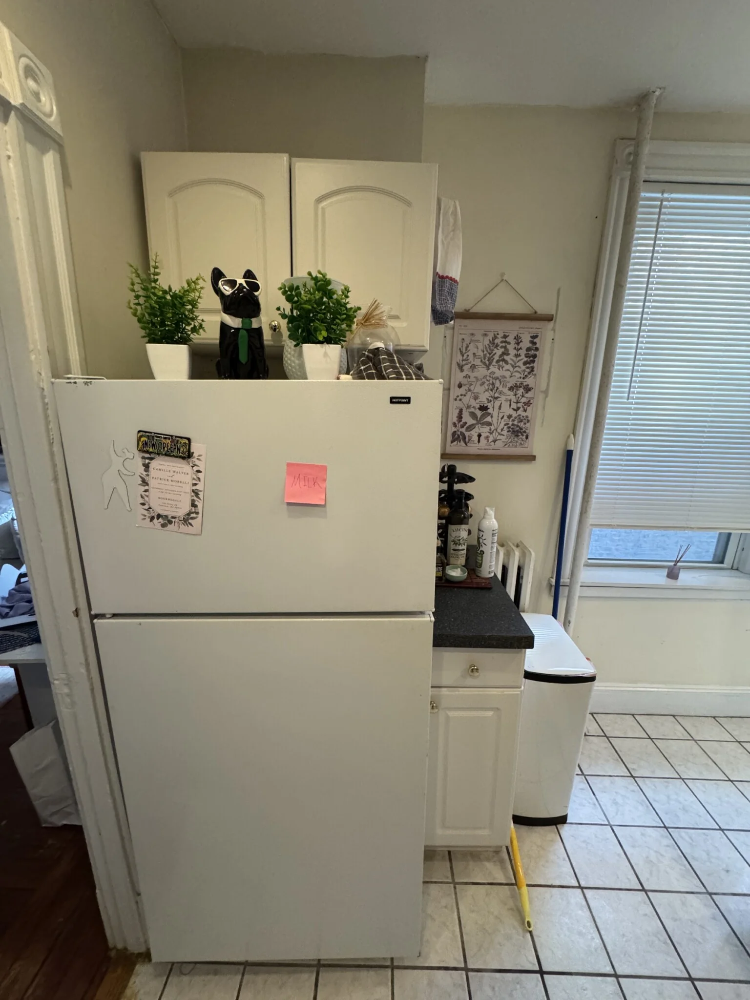 36 Anderson, Beacon Hill