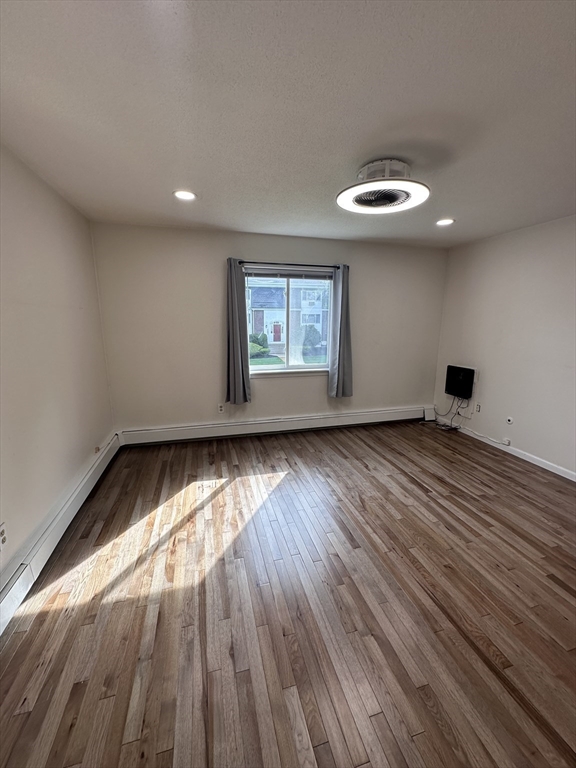 41 Will, Canton Junction