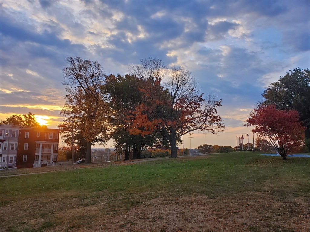 11 Juliette, Dorchester