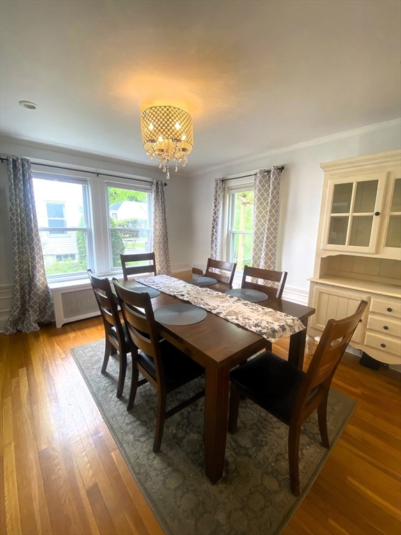 35 Reedsdale Rd, Milton