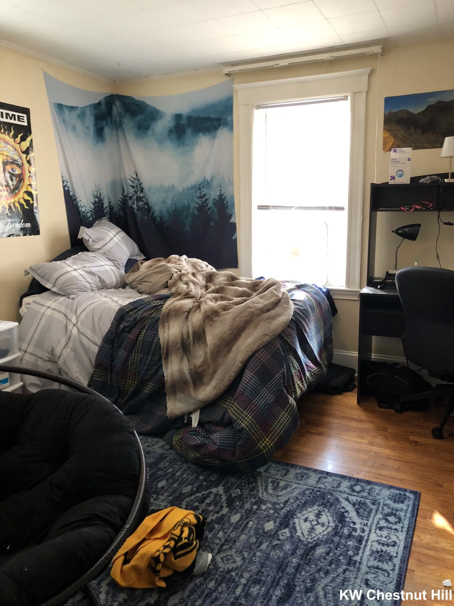 23 Frawley St, Mission Hill