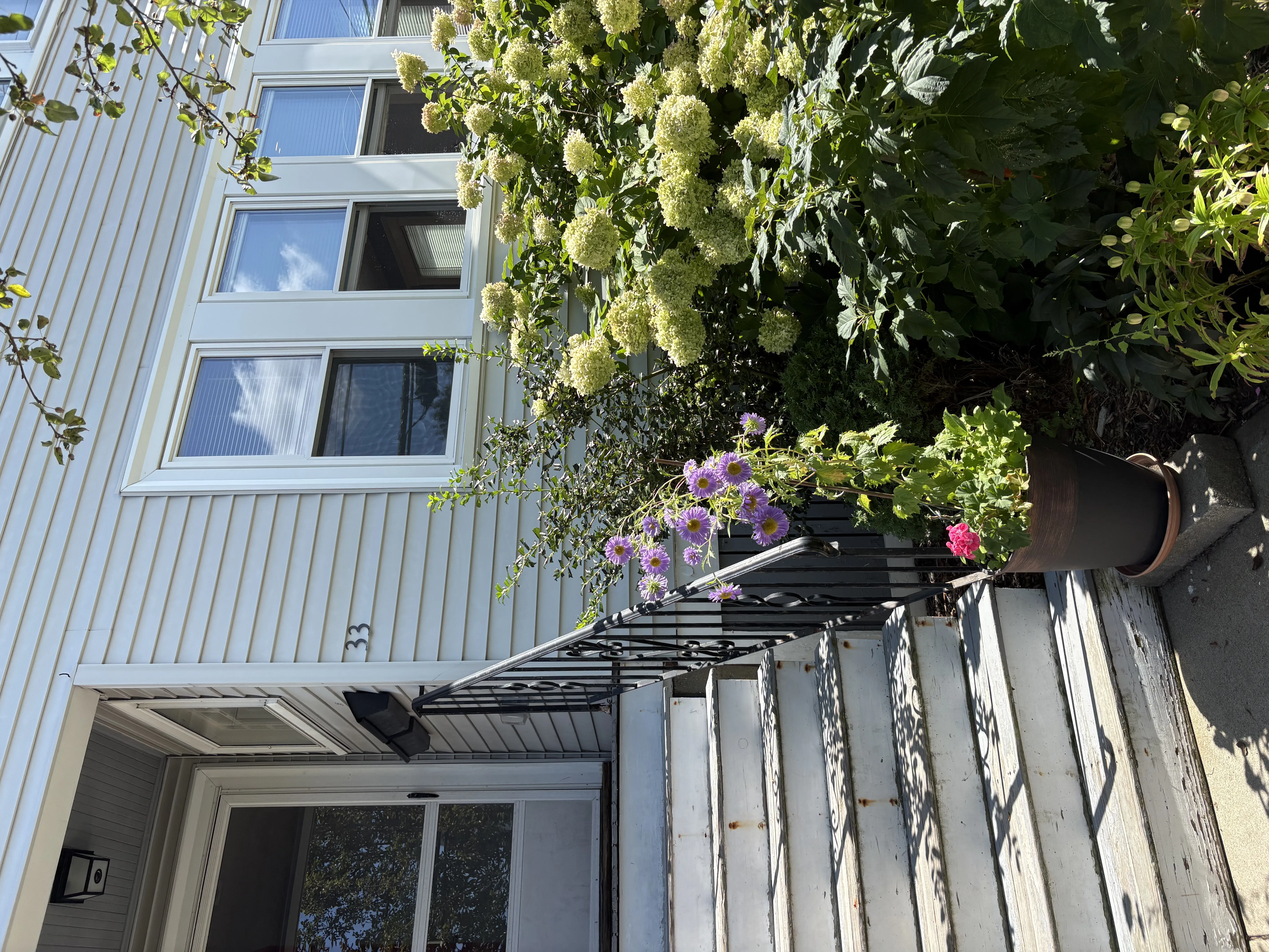 33 Prentiss St ,, Watertown