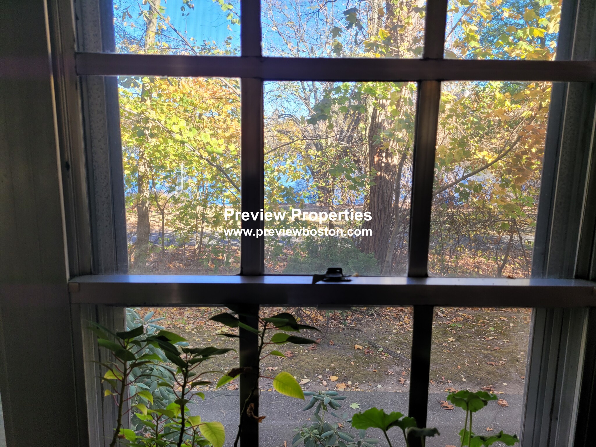 103 Lake Shore Rd, Oak Square