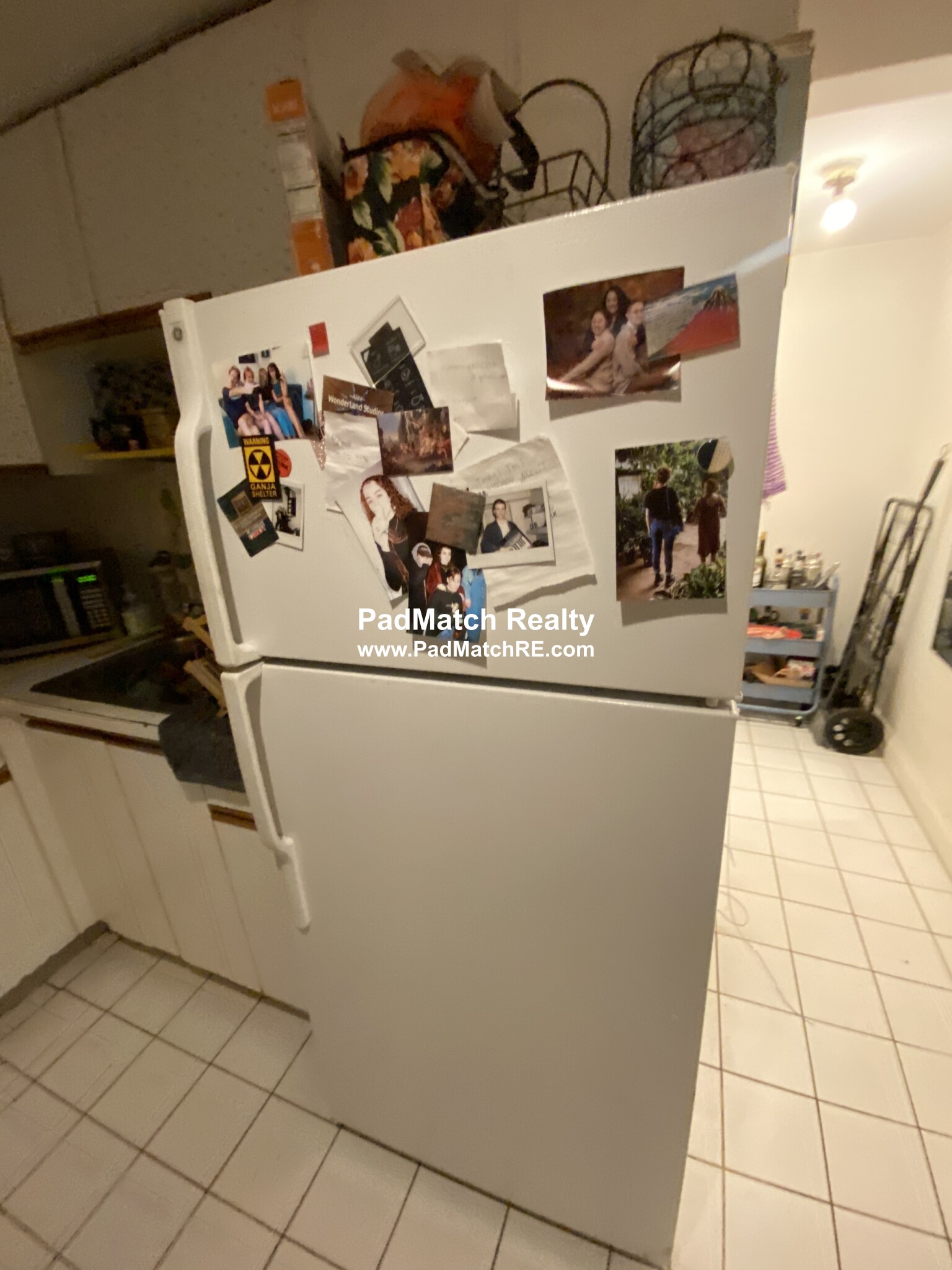 11 Scottfield Rd, Brighton