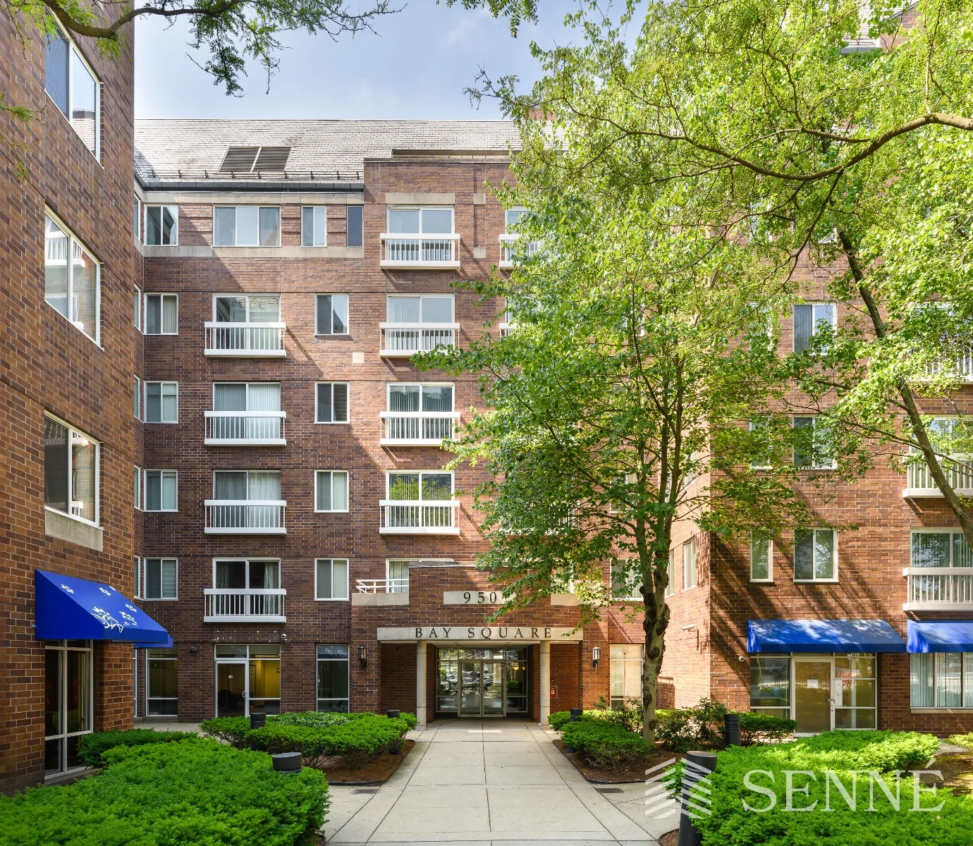 950 Massachusetts Ave, Harvard Square