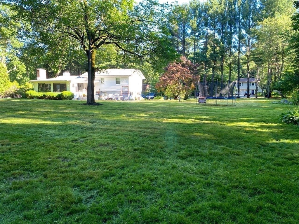 15 Winchester Dr, Lexington