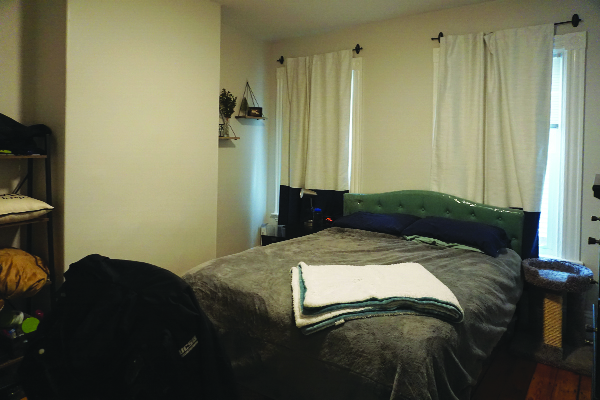 365 Prospect St, Wellington-Harrington