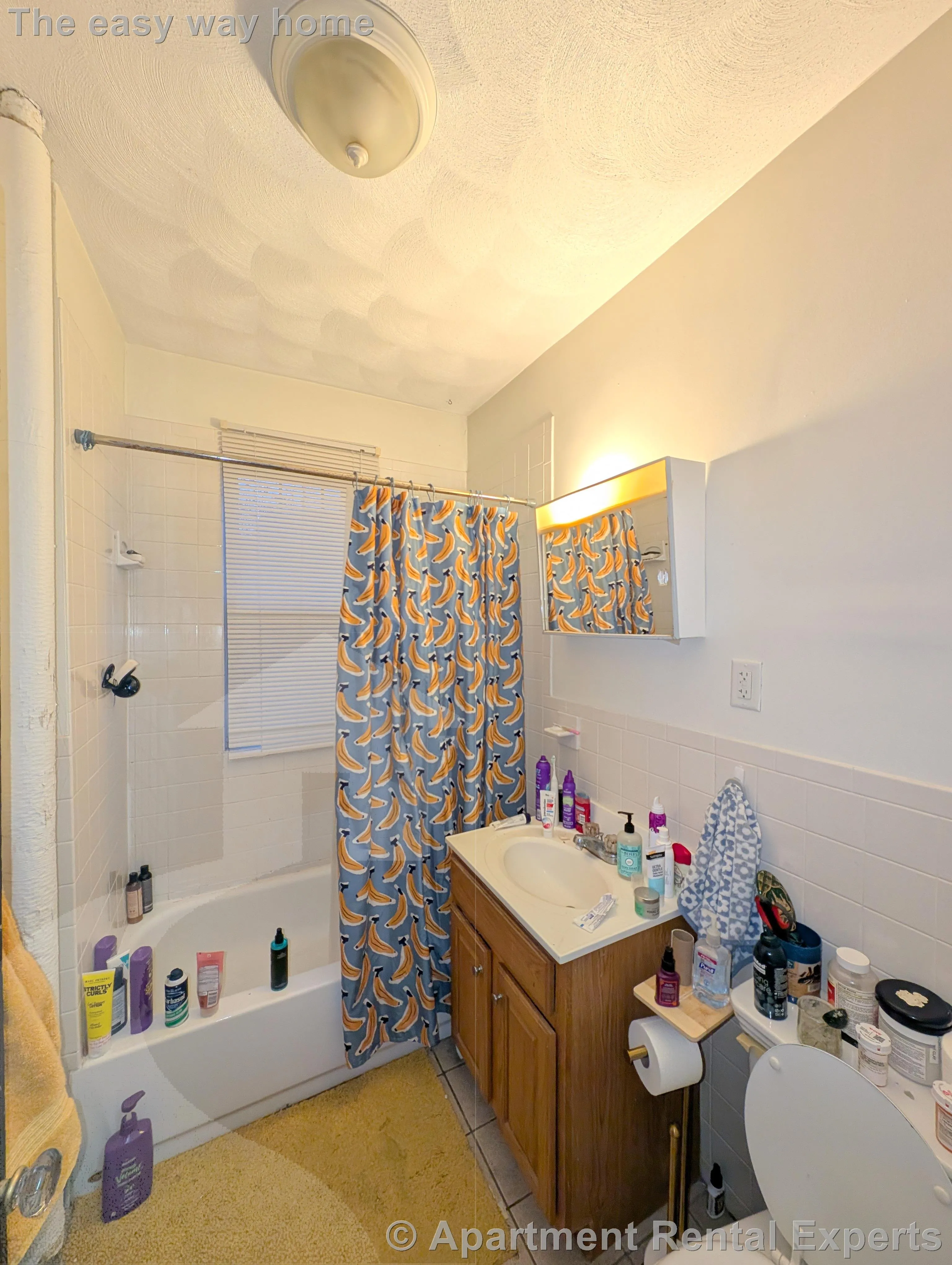 155 Summer St, Spring Hill