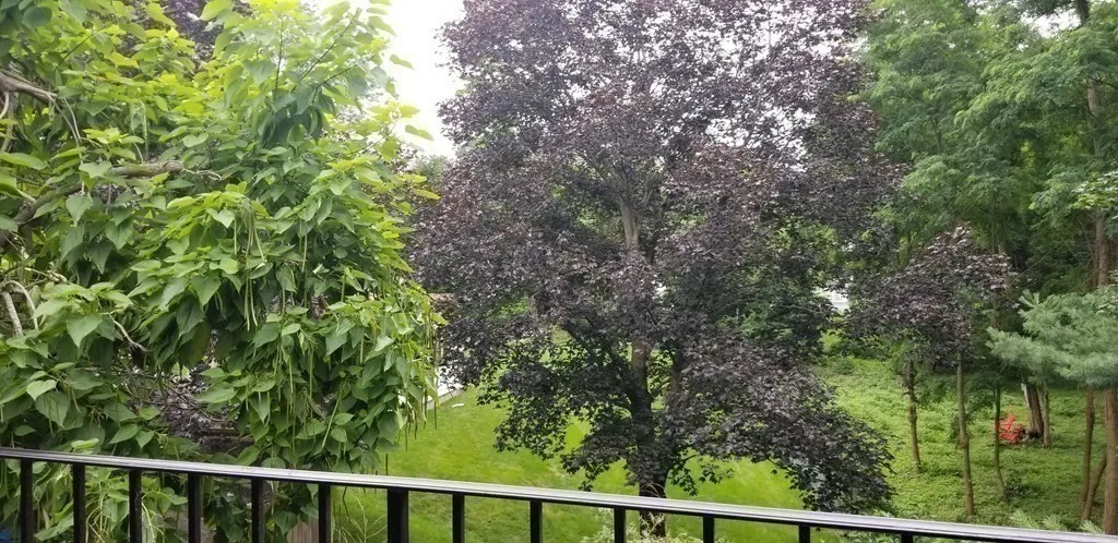 16 Winter St, Piety Corner Historic District