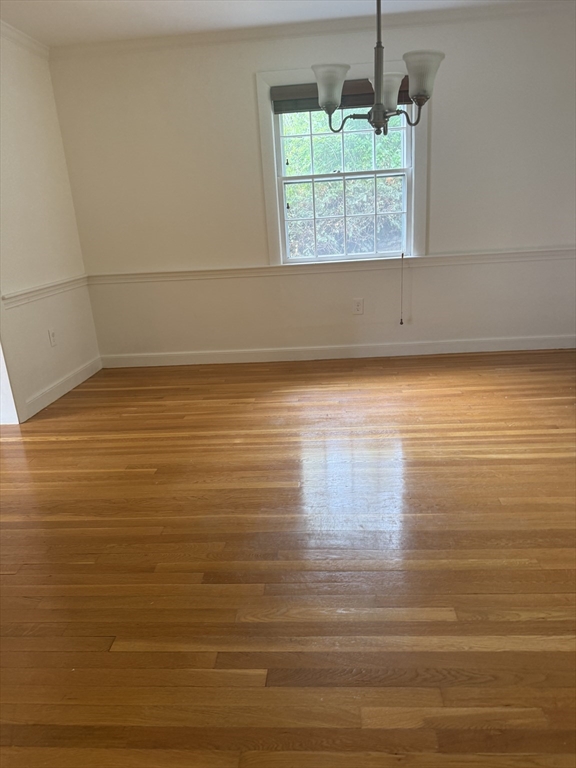 27 Buena Vista, Arlington