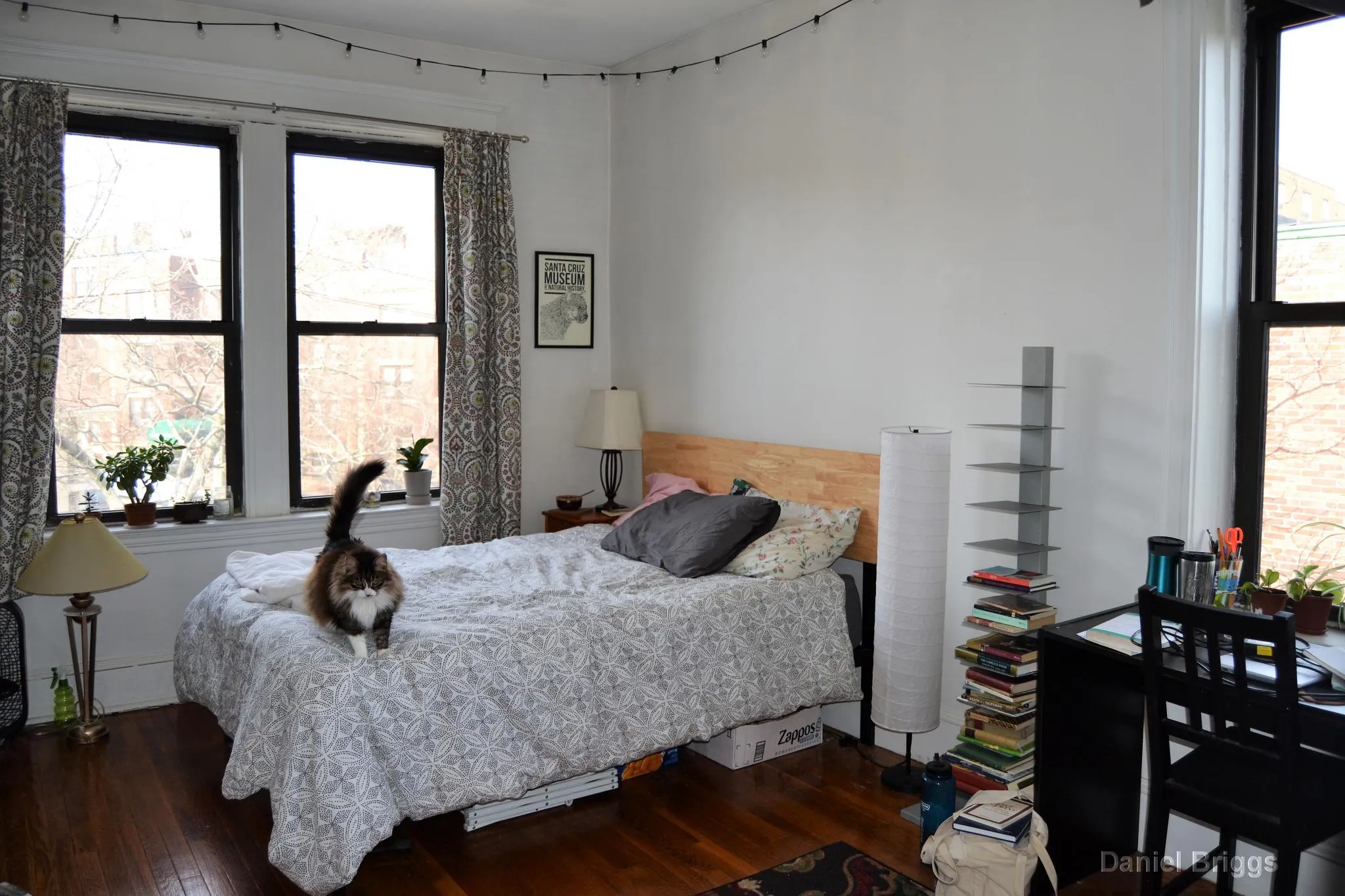 41 Egremont Rd, Brighton