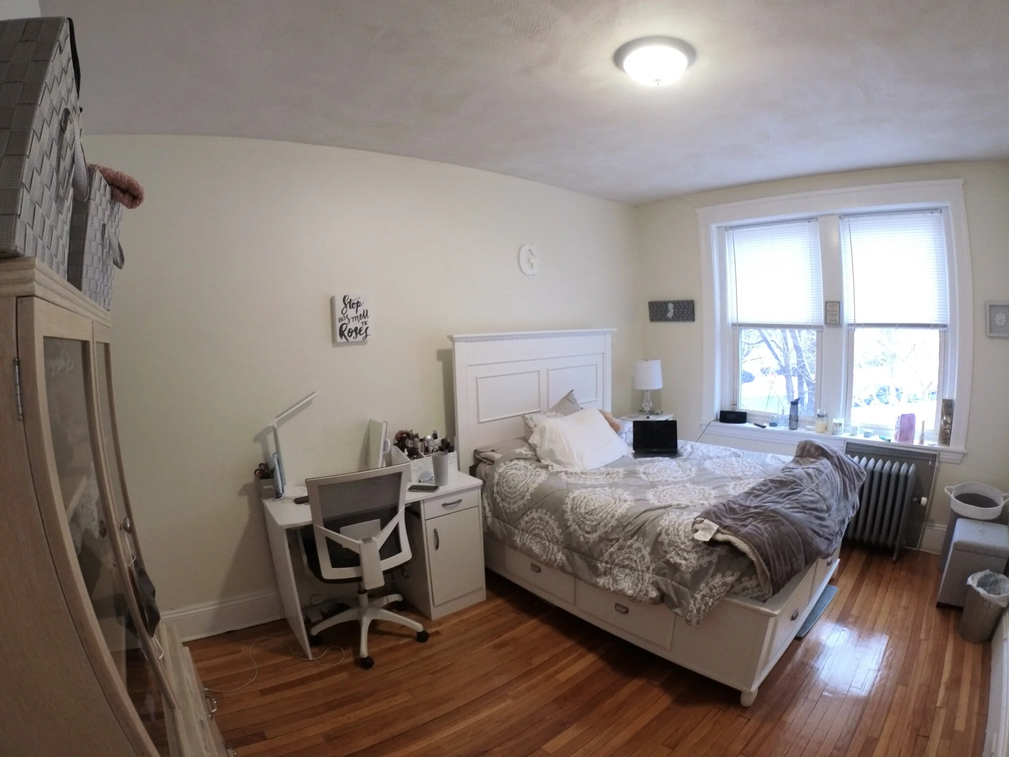 241 Freeman St, North Brookline