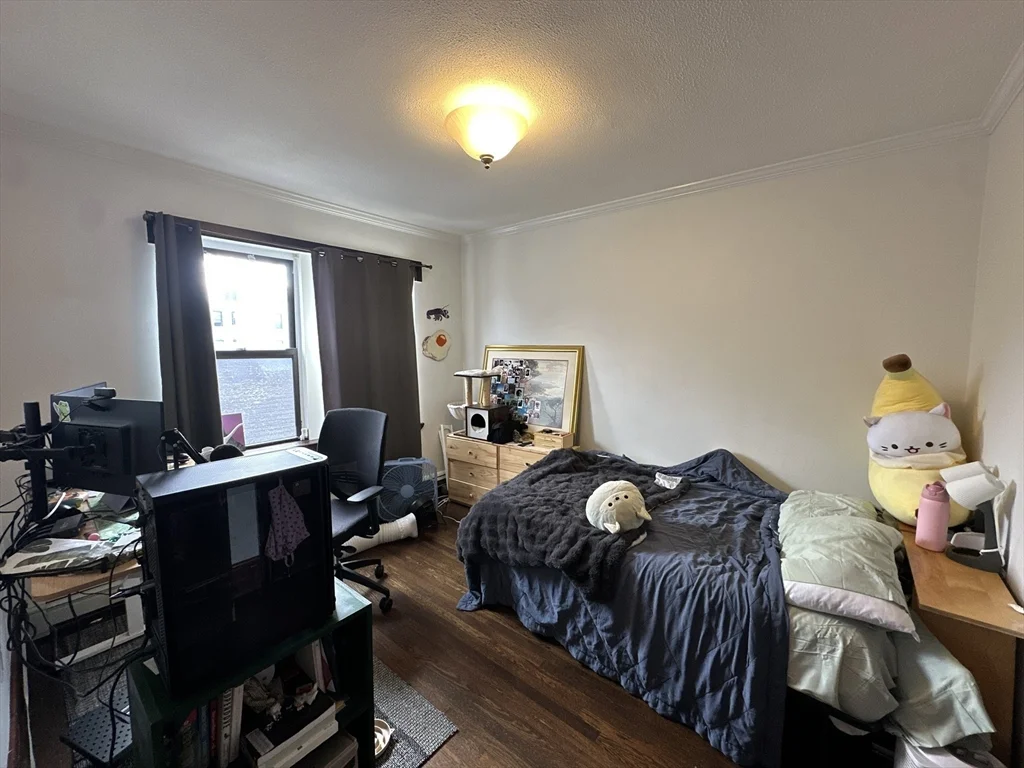 435 Walnut Ave, Roxbury