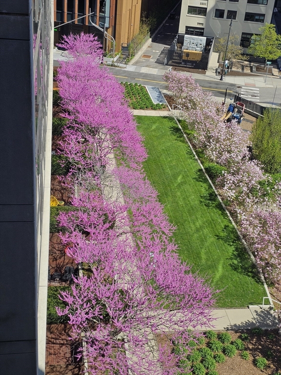 2 Earhart St, Cambridge