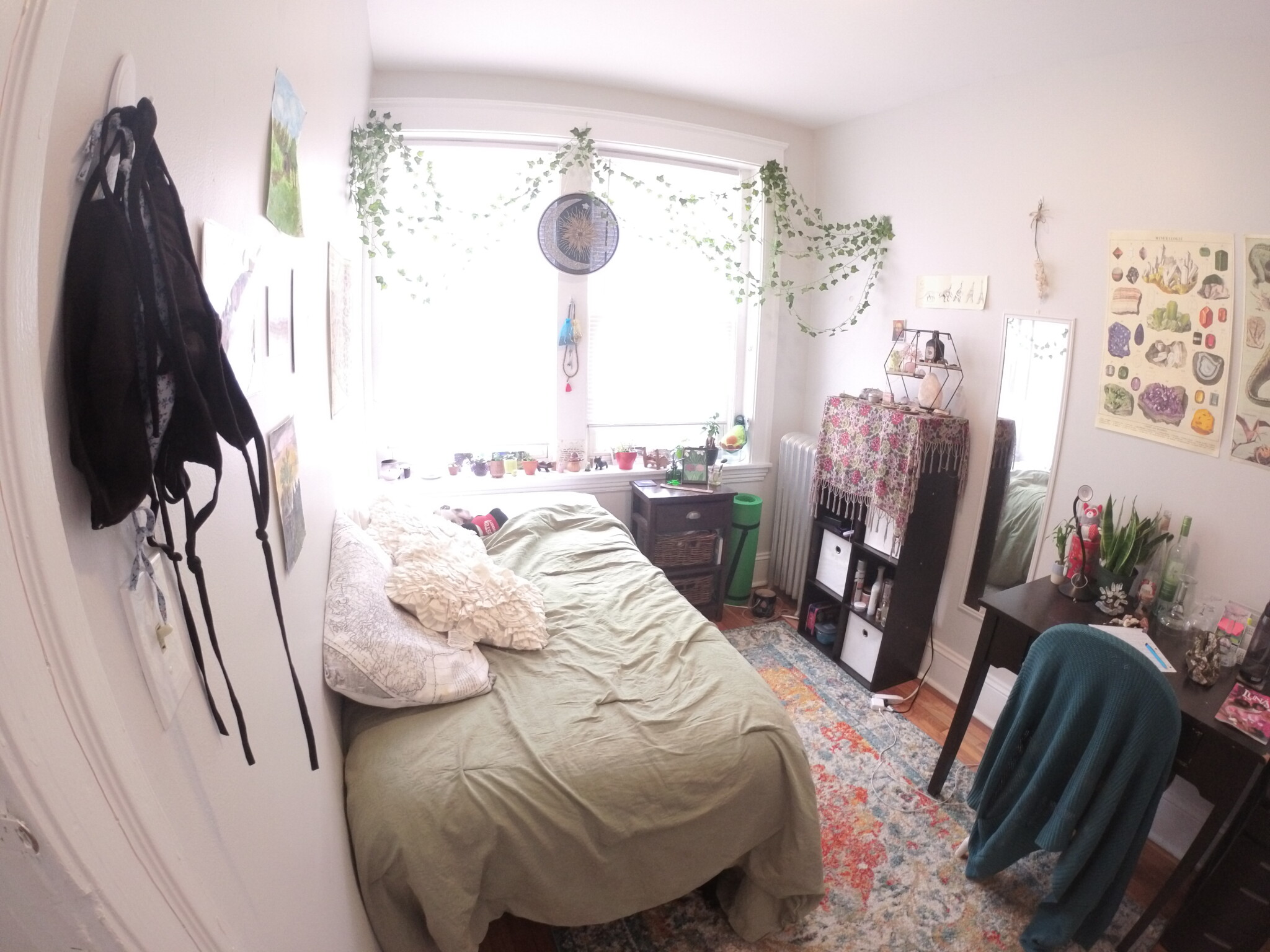 241 Freeman St, North Brookline