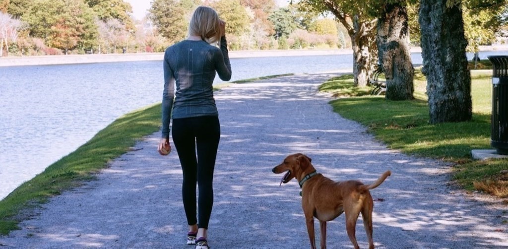 20 Boylston St, Brookline Village