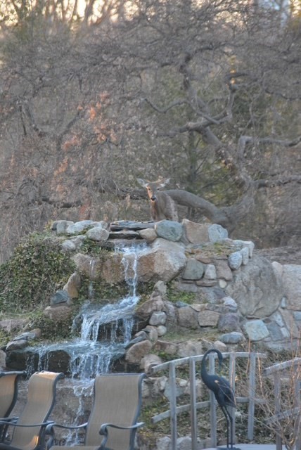 42 Pine Acres Rd, Foxboro