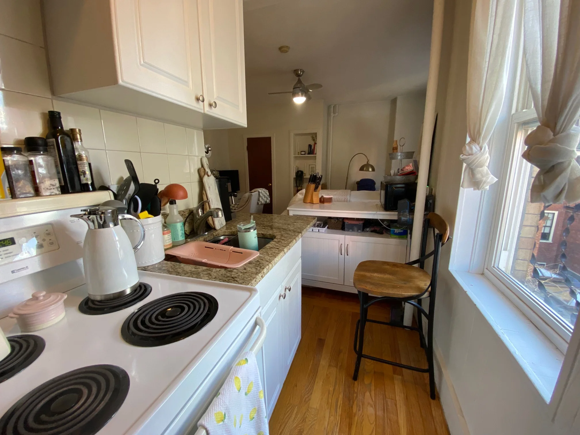 108 Myrtle St, Beacon Hill