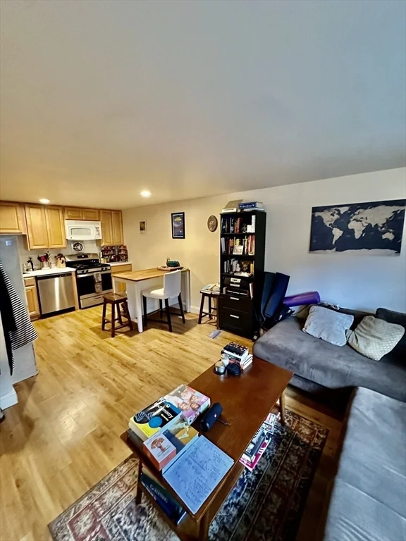 117 W Concord St, South End