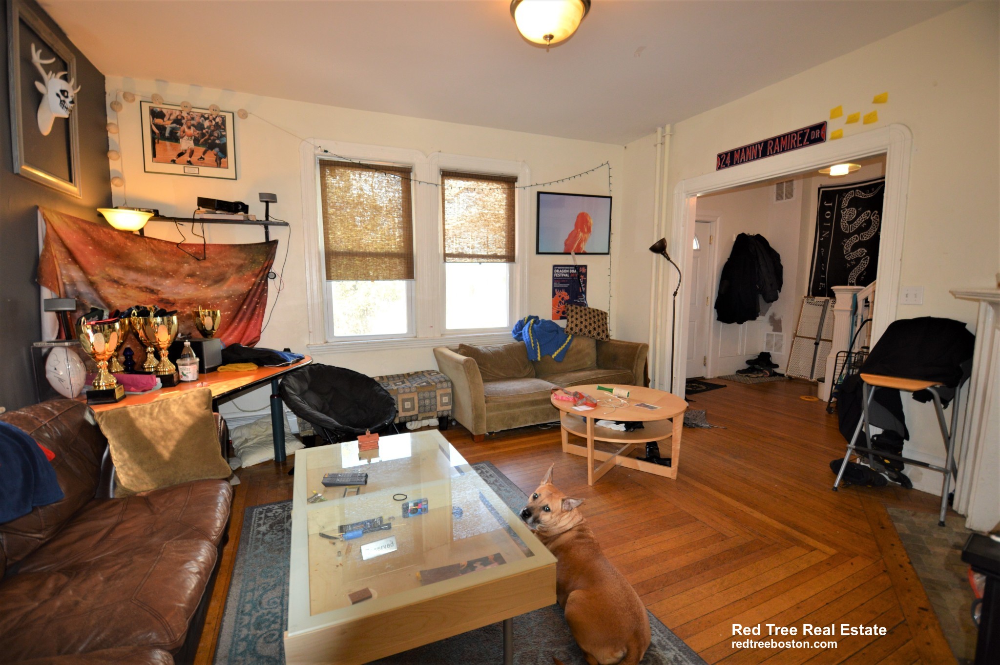 5 Murdock Ter, Brighton