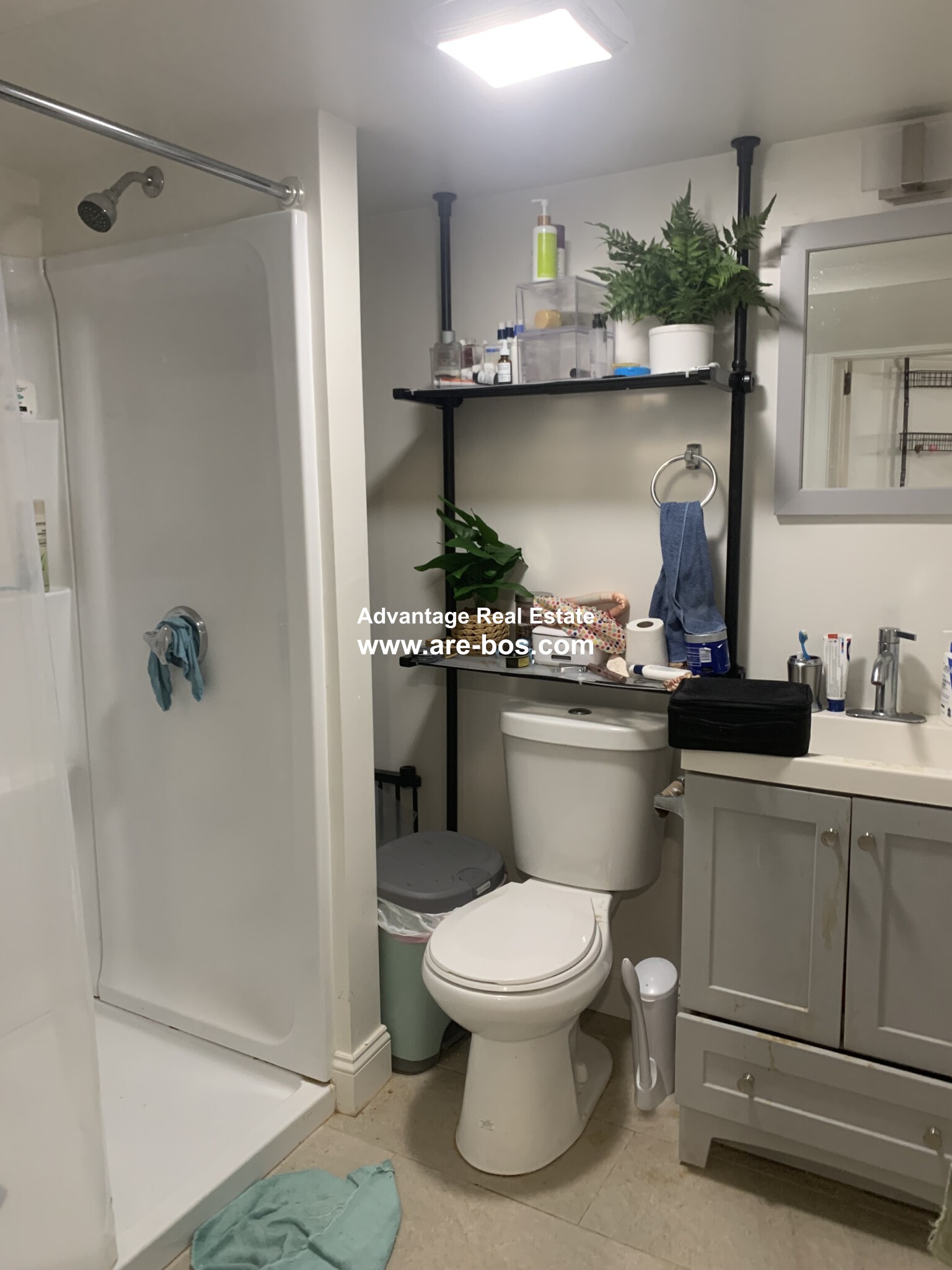 10 Harding St, Wellington-Harrington