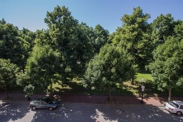 10 Saint George St, South End