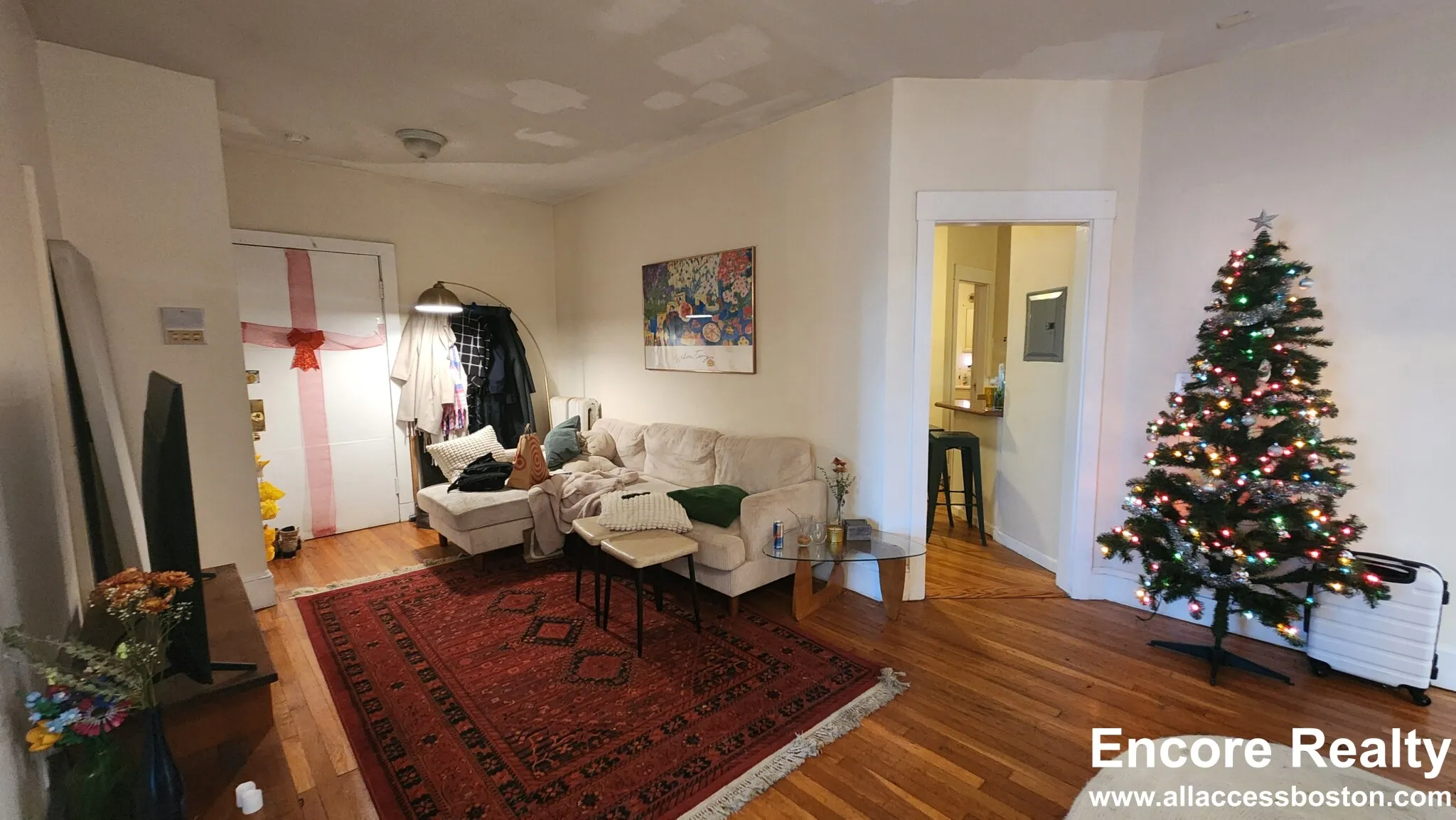 66 Egmont St, North Brookline