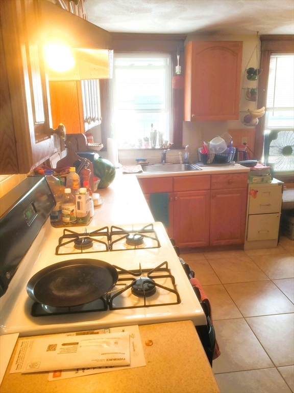 19 Burnside Ave, Spring Hill