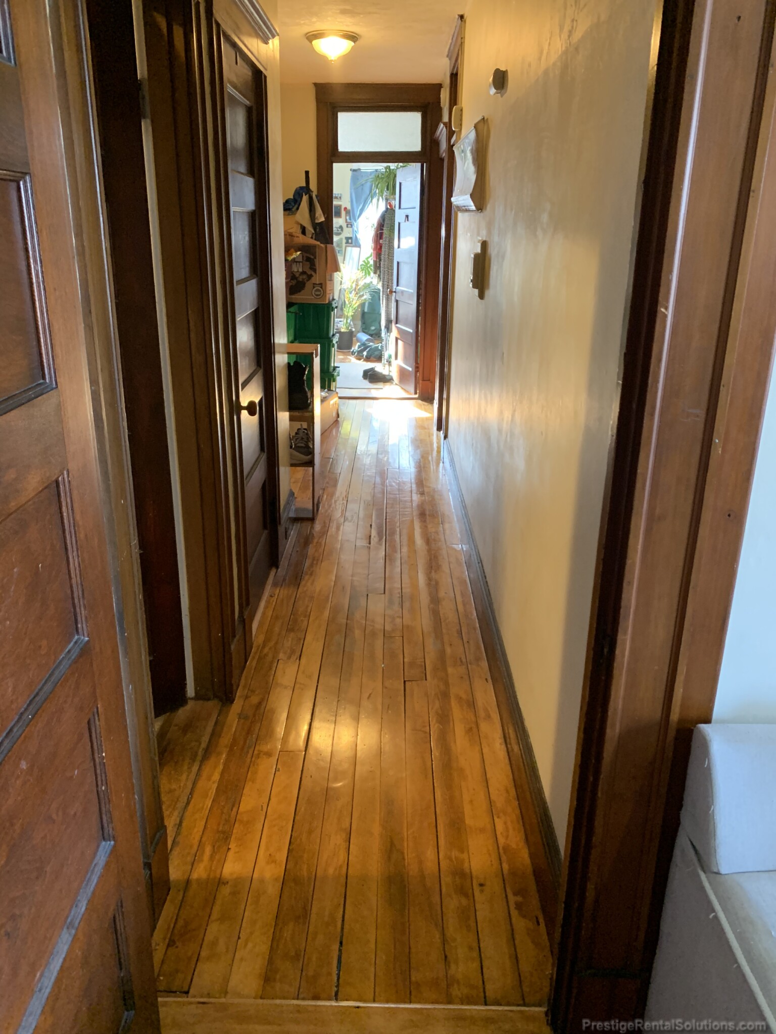 218 South St, Jamaica Plain