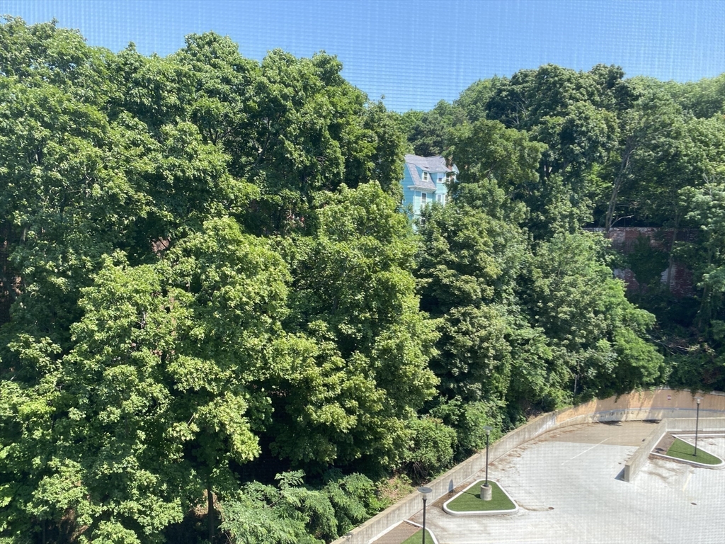 1600 Beacon St, Corey Hill