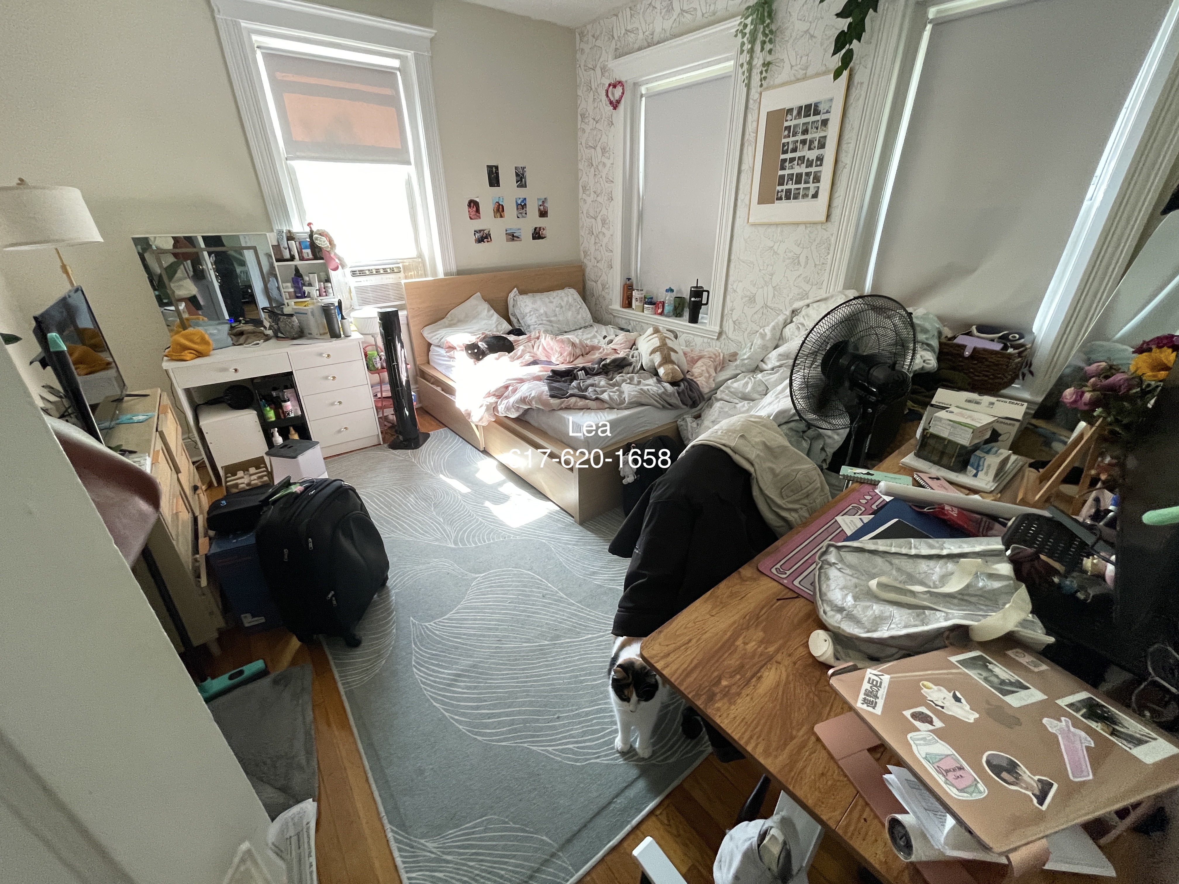 9 Egremont Rd, Brighton