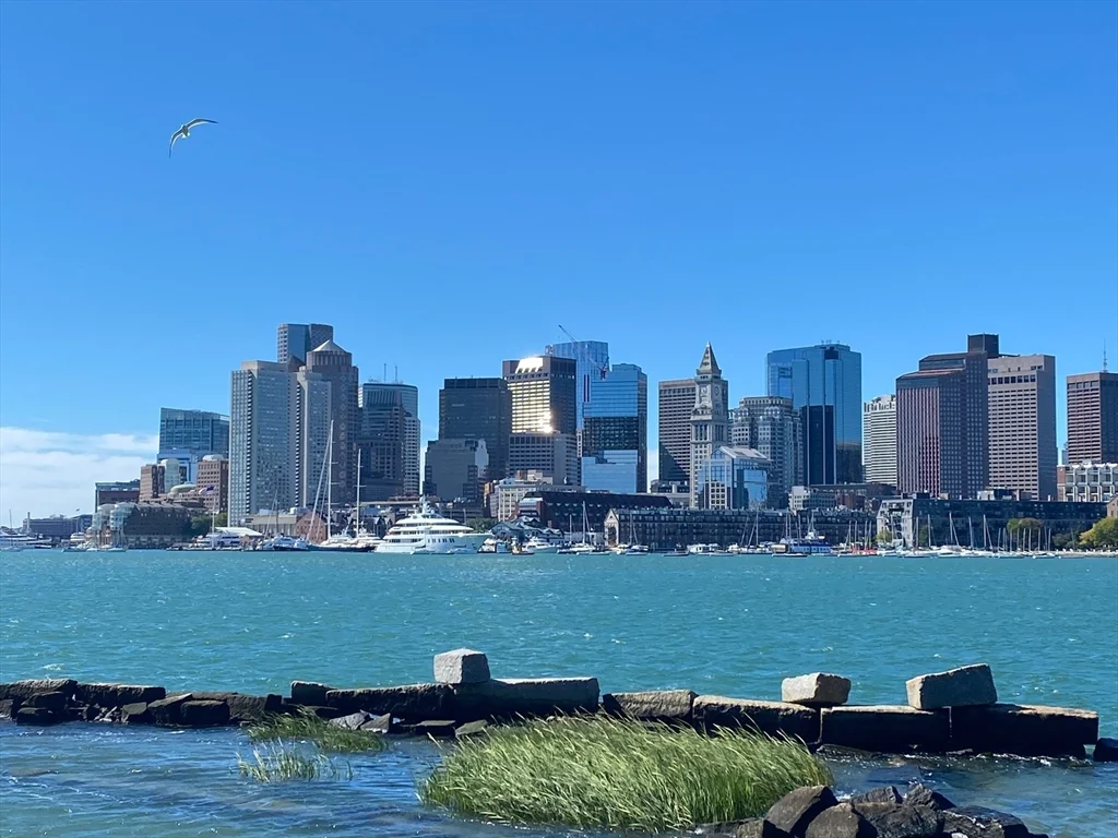 65 Lewis St, East Boston