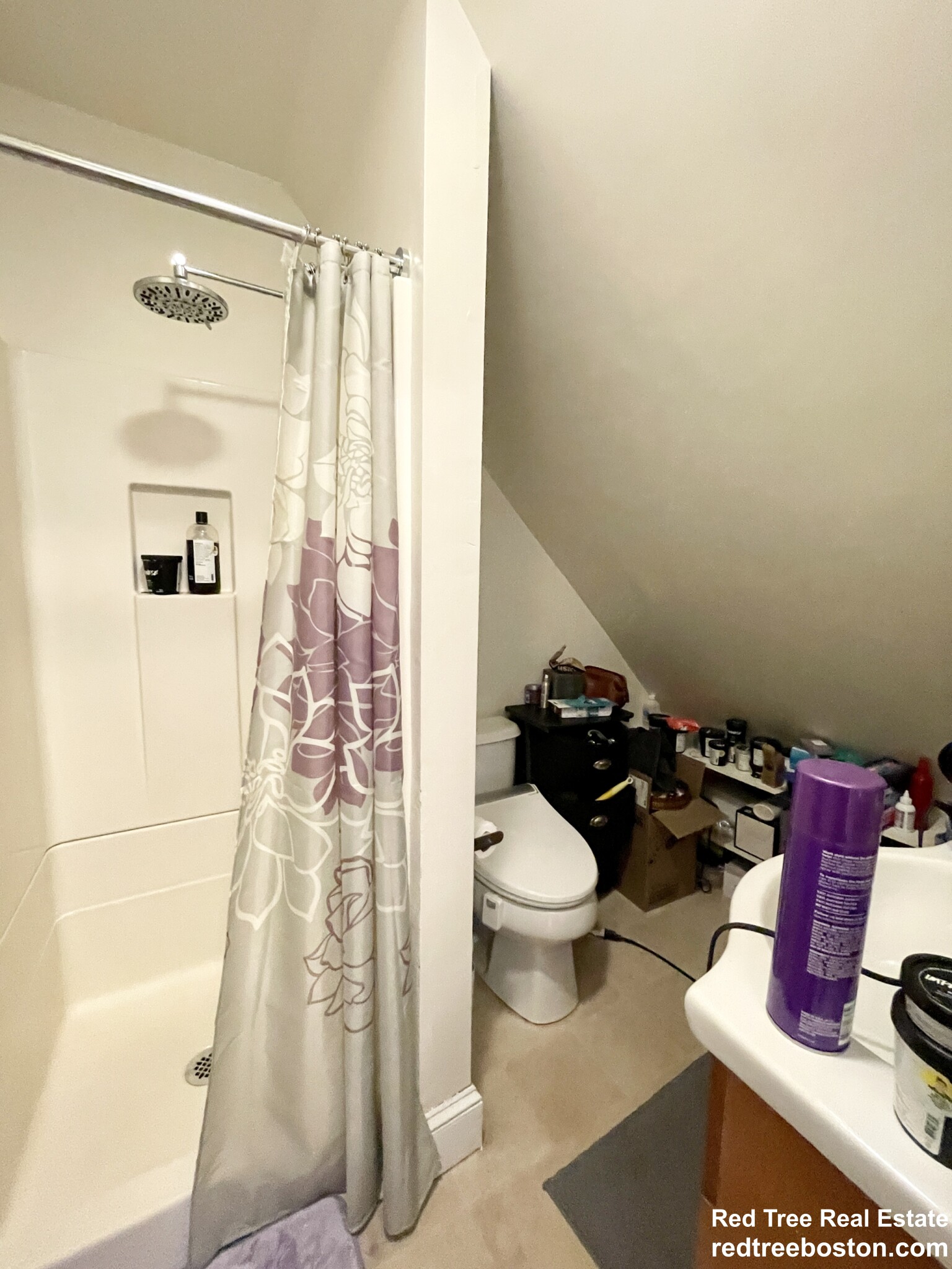 5 Murdock Ter, Brighton