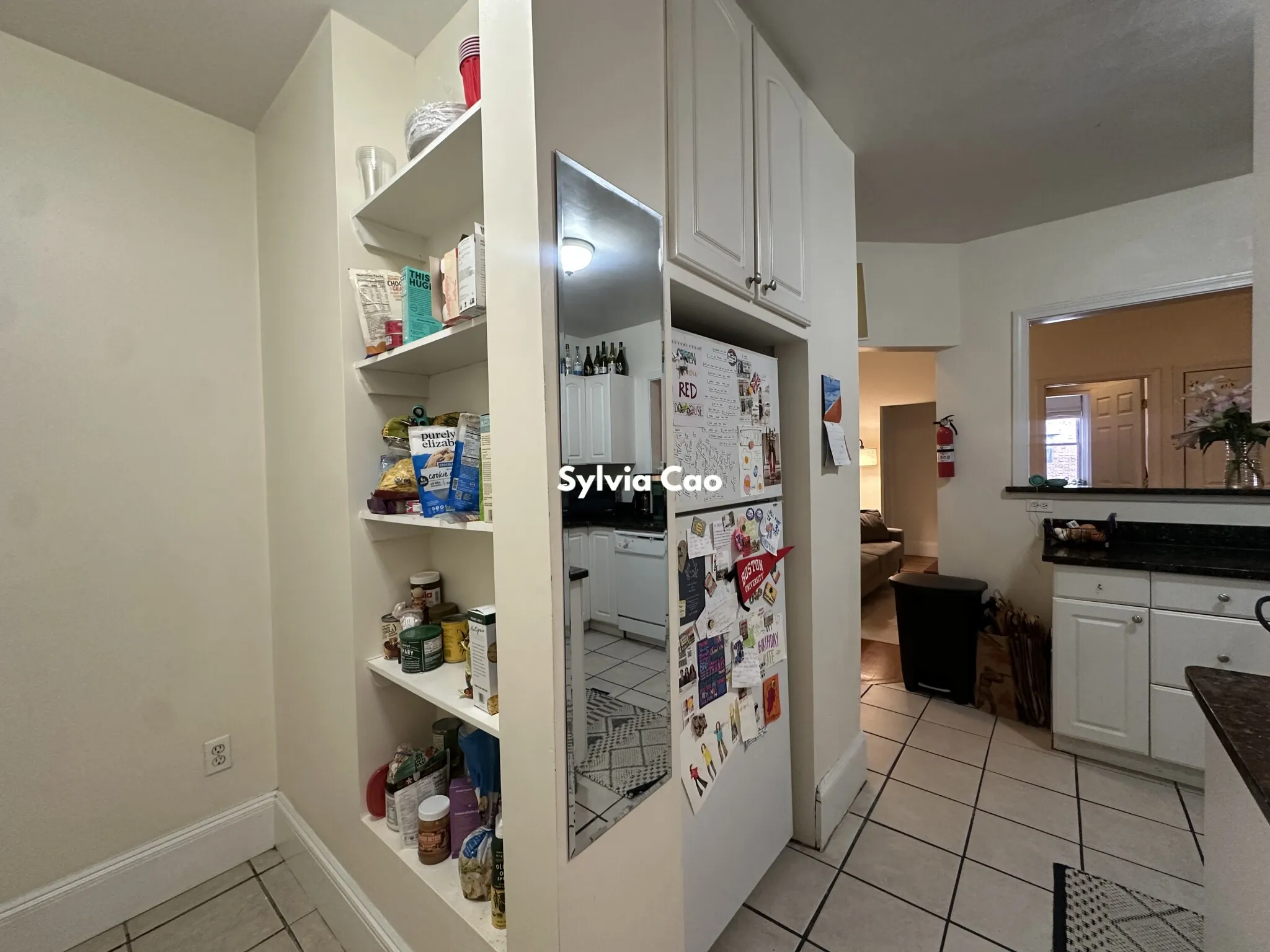 54 Egmont St, North Brookline