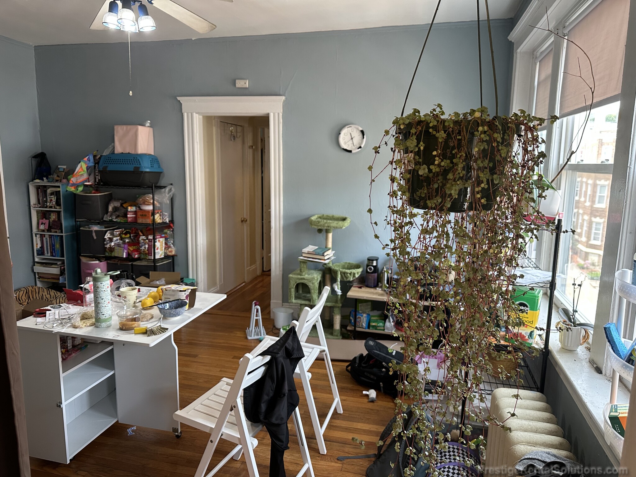 232 Kelton St, Allston