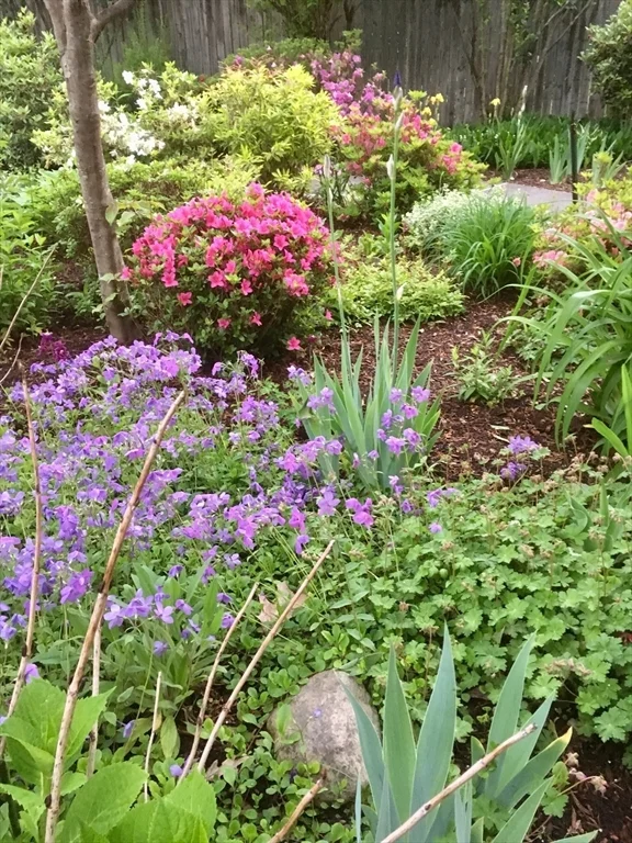 71-2 Chapel St, Shirley