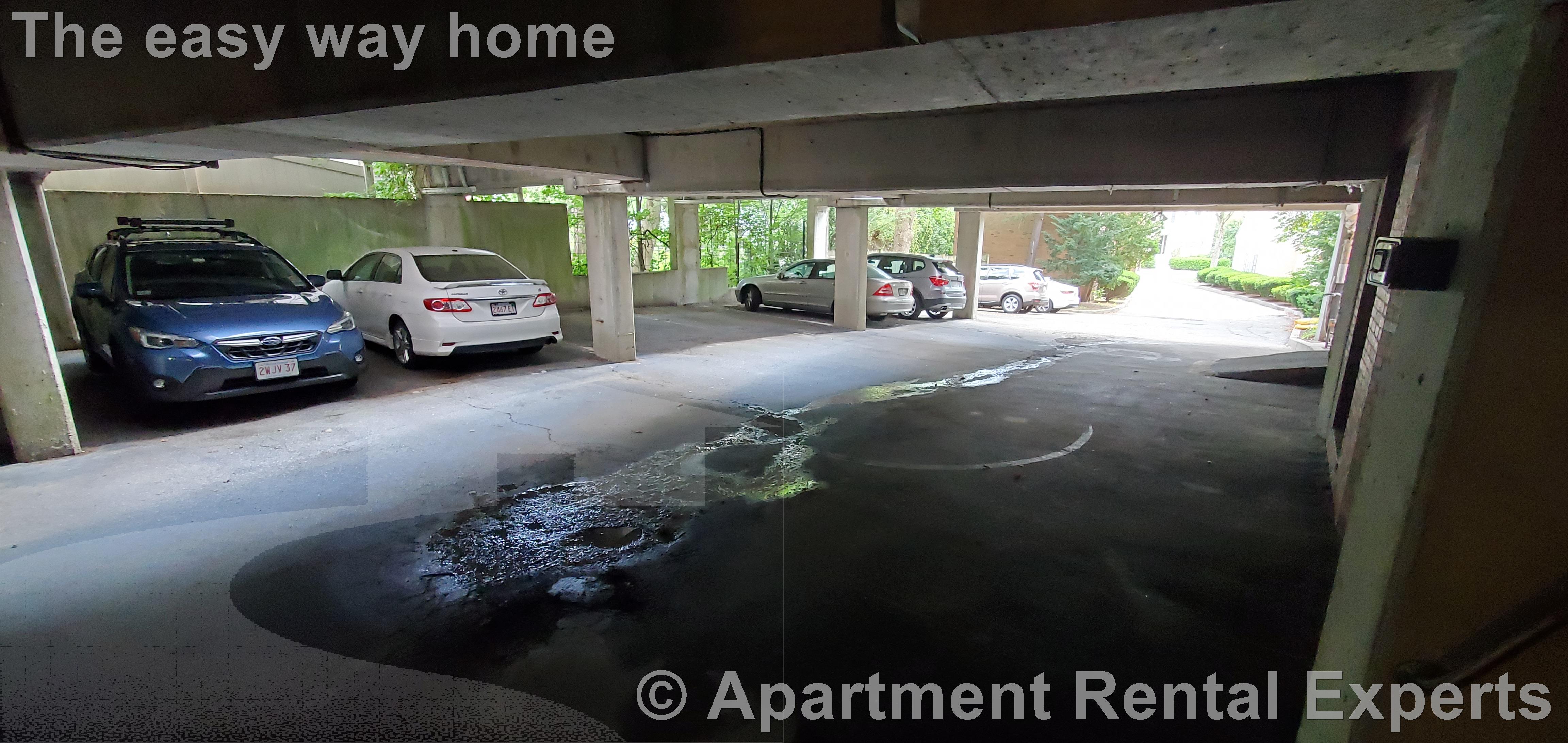 54 Concord Ave, Harvard Square