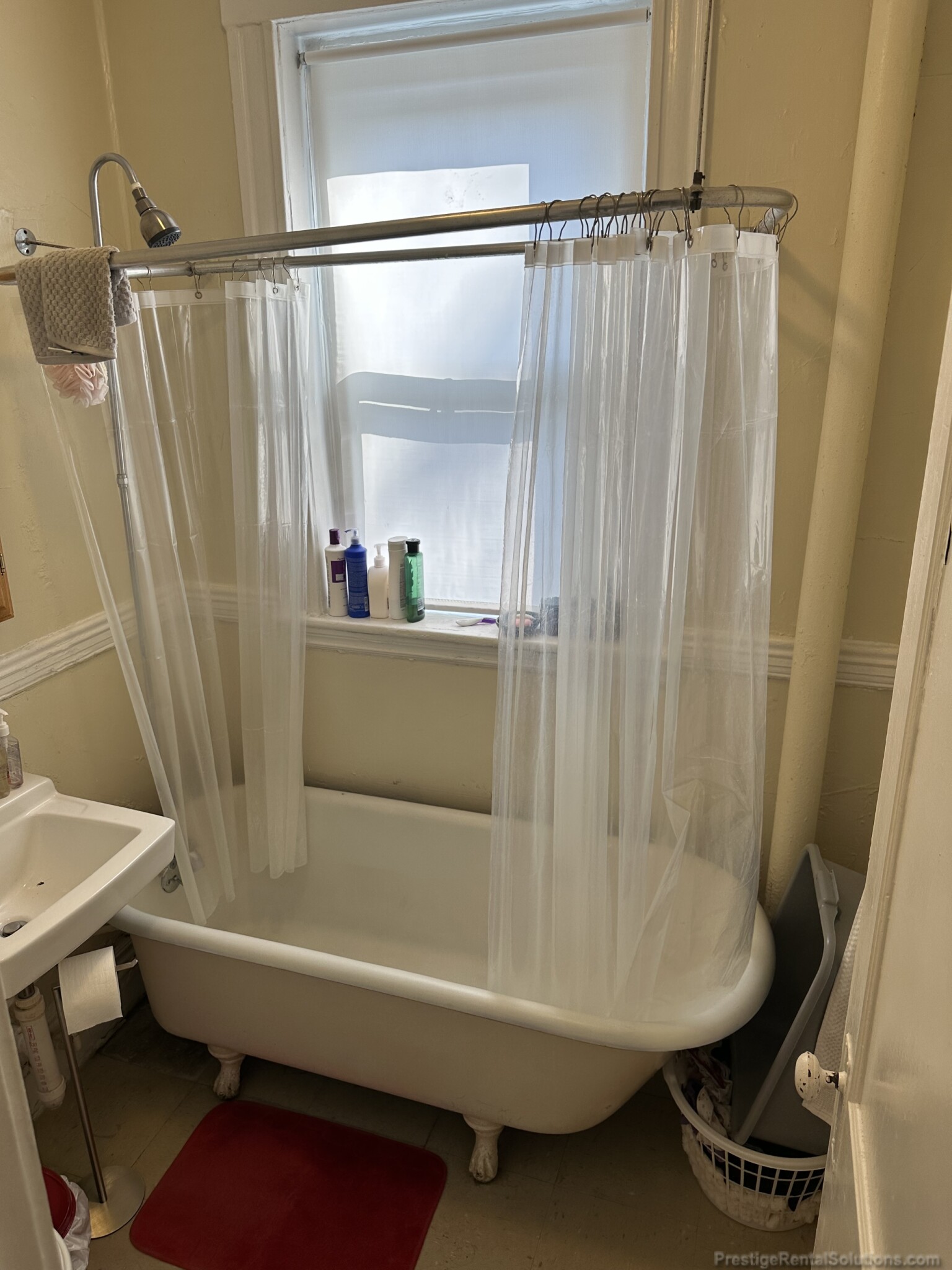 159 Kelton St, Brighton