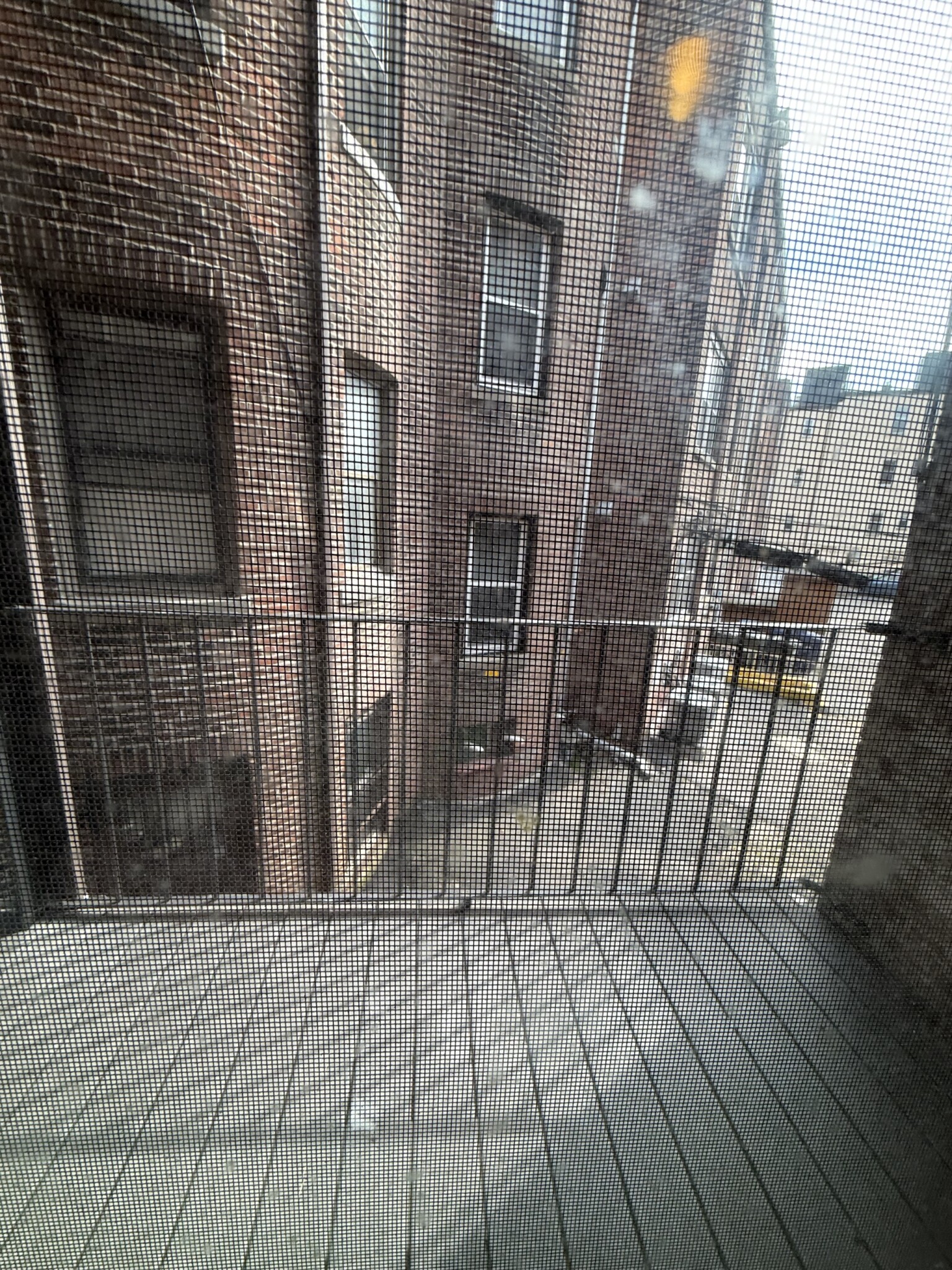 1706 Commonwealth Ave, Brighton