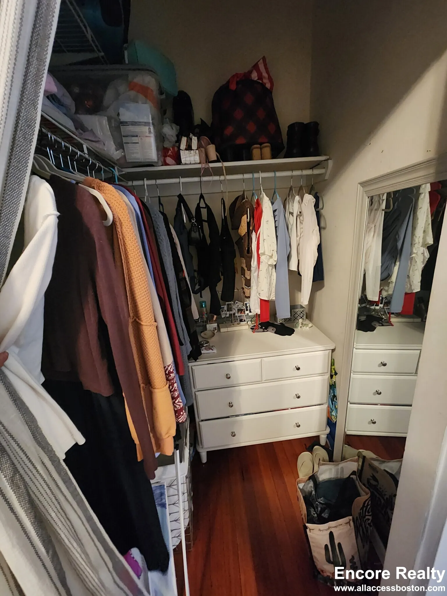 11 Stearns Rd, Coolidge Corner