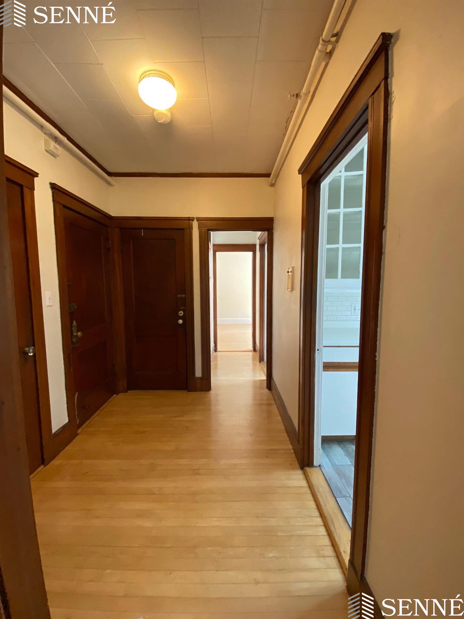 5 Linnaean St, Neighborhood Nine