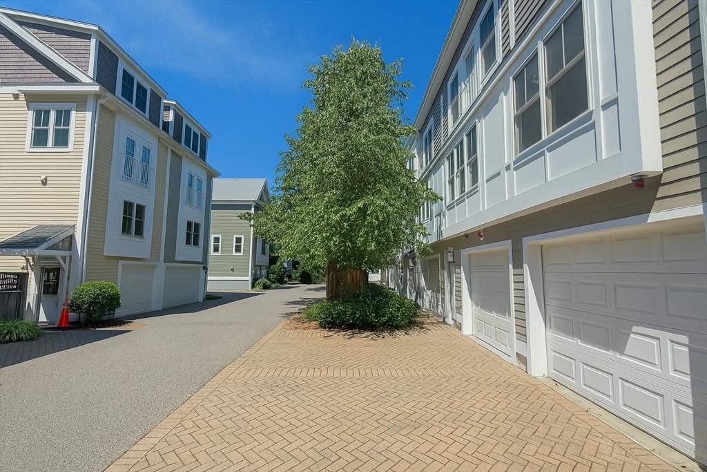 117-135 Harvey St, North Cambridge