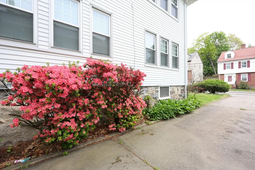 8 Verndale Rd, Milton