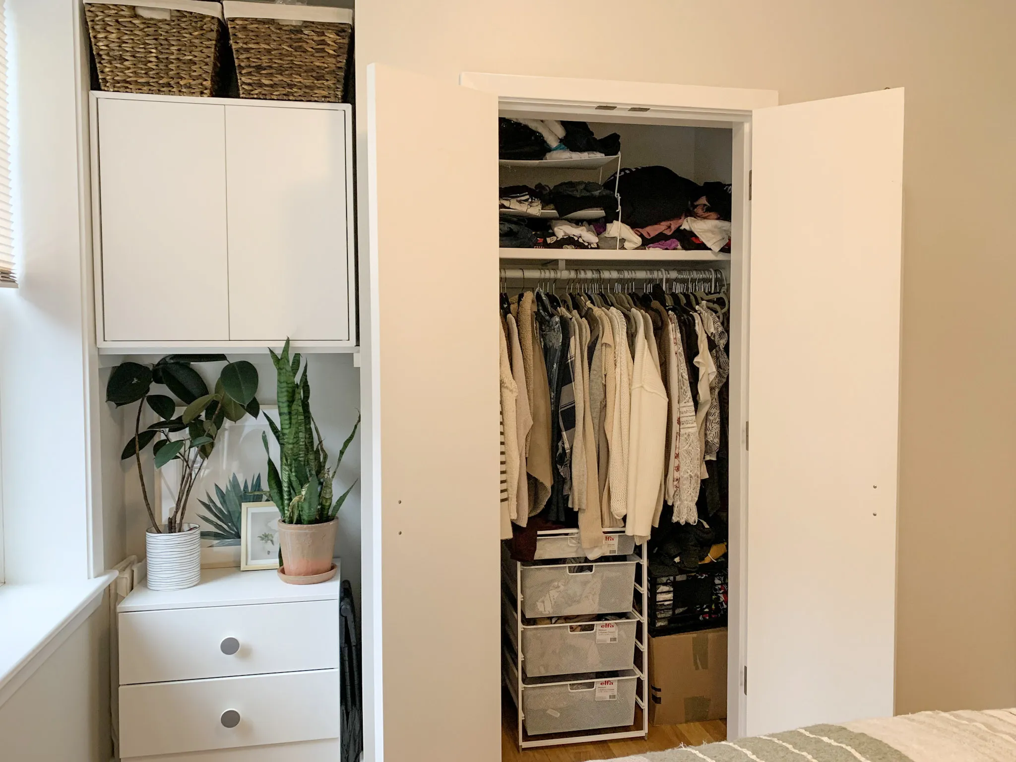 33 Anderson St, Beacon Hill