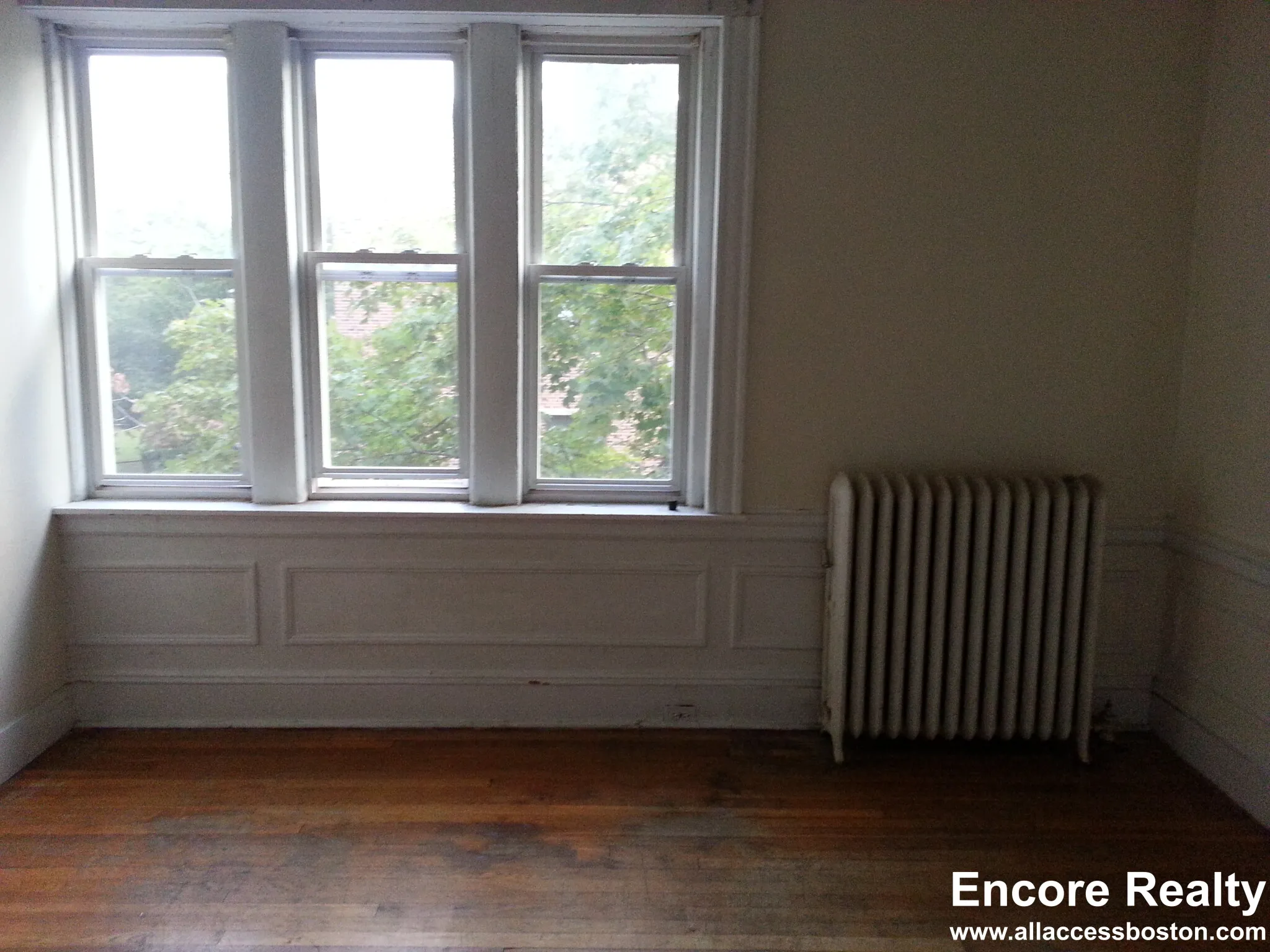 54 Egmont St, North Brookline